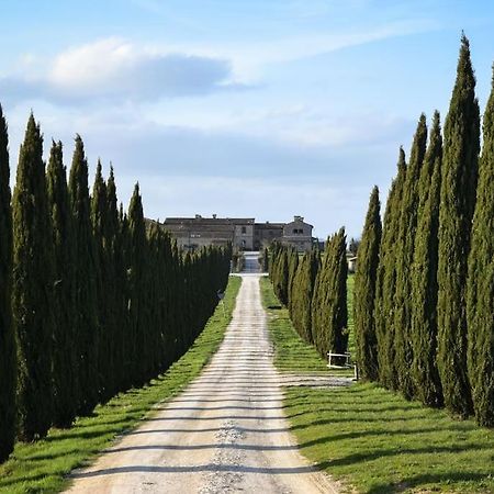 Cozy Home In Countryside Asciano Siena -Renovated! Bagian luar foto