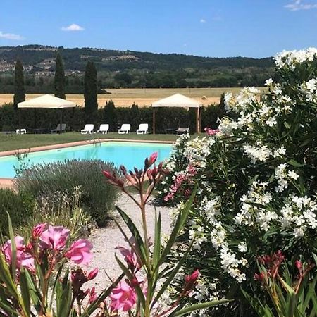 Cozy Home In Countryside Asciano Siena -Renovated! Bagian luar foto