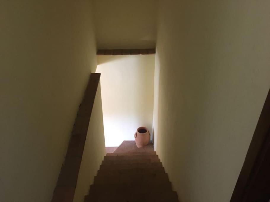 Cozy Home In Countryside Asciano Siena -Renovated! Bagian luar foto